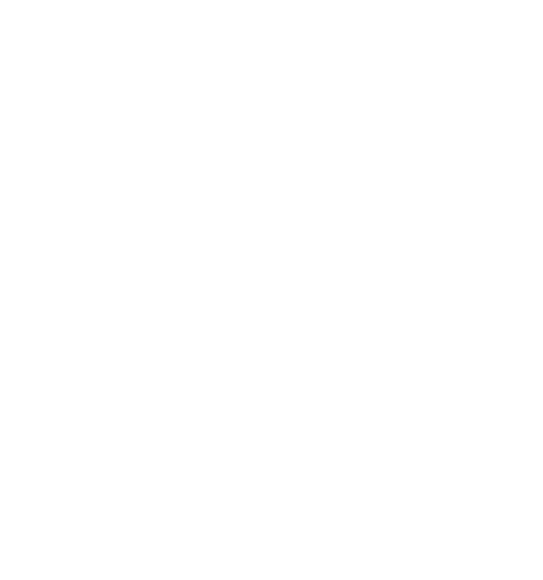 ZENDO